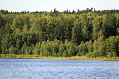 Forest lake yakınlarında