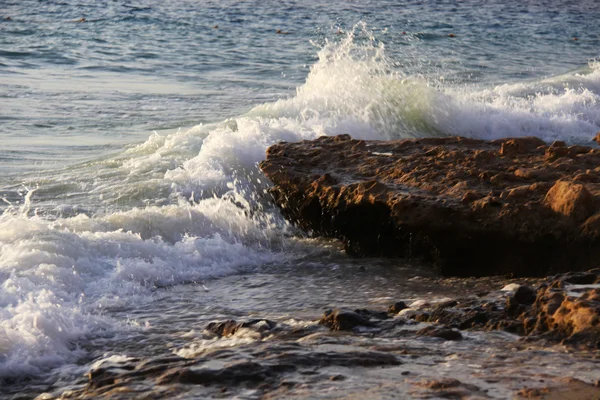 Ερυθρά θάλασσα στο ηλιοβασίλεμα κύματα — Φωτογραφία Αρχείου
