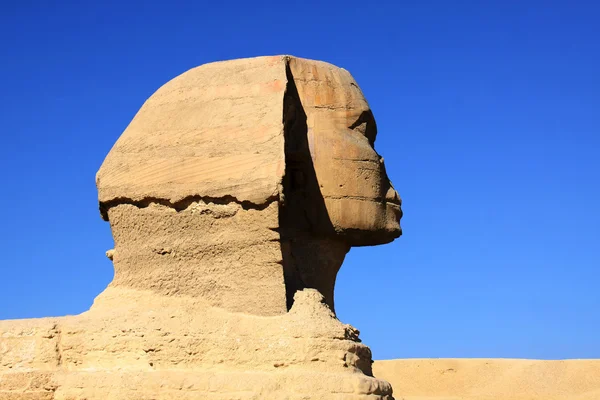 Mısır Sfenks ve p büyük antik heykel — Stok fotoğraf
