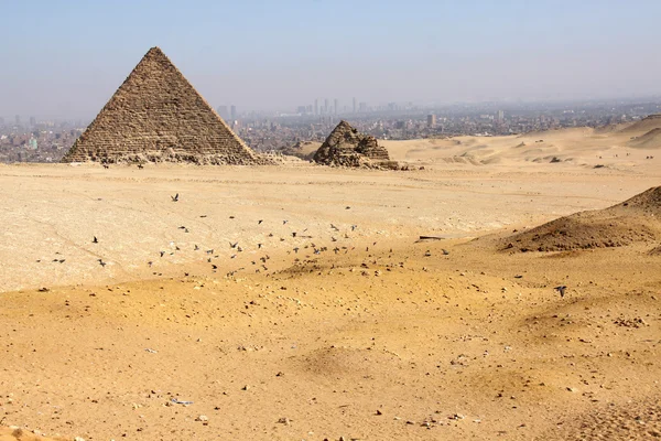 stock image Pyramids of Giza