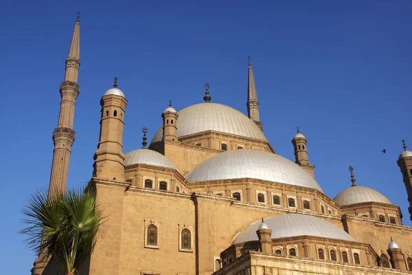 stock image Mohamed Ali Mosque, Egypt