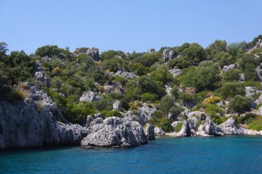 Rock ve Türkiye'deki Deniz