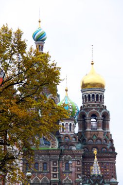 Rusya. Saint-petersburg. Şehir Manzaralı