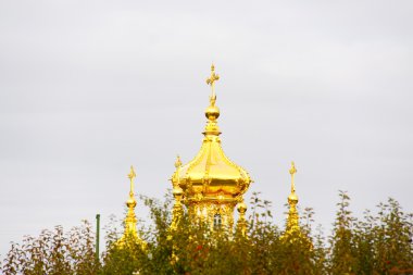 Saint petersburg. Peterhof