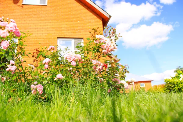 stock image New out of town cottage