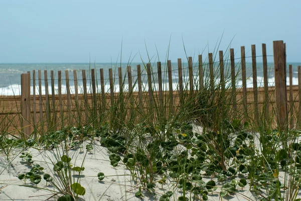 Fence at the beach — Stock Photo, Image