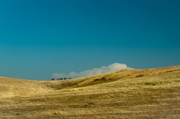 stock image Riders and a cloud