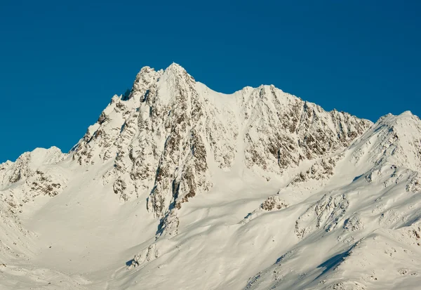 Picos de neve — Fotografia de Stock