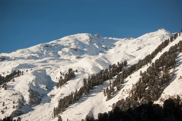 Montagnes Rocheuses en hiver — Photo