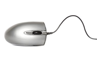 Gray mouse computer clipart