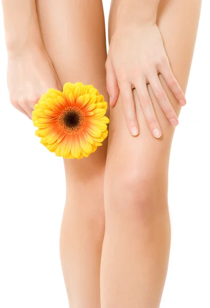 Γυναικεία πόδια με λουλούδι — Φωτογραφία Αρχείου