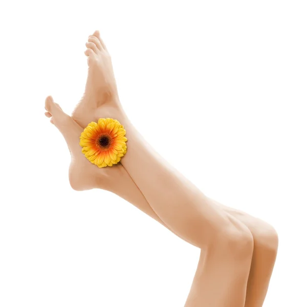 Vrouwelijke benen — Stockfoto