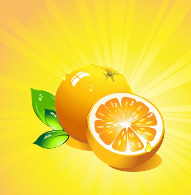 Orange citrus fruit. Vector clipart