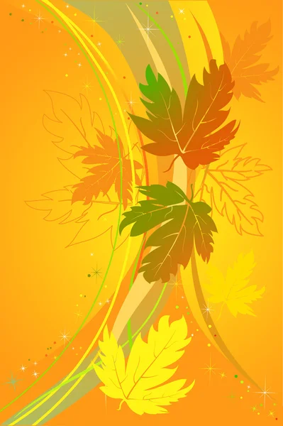 Sonbahar akçaağaç yaprakları — Stok Vektör