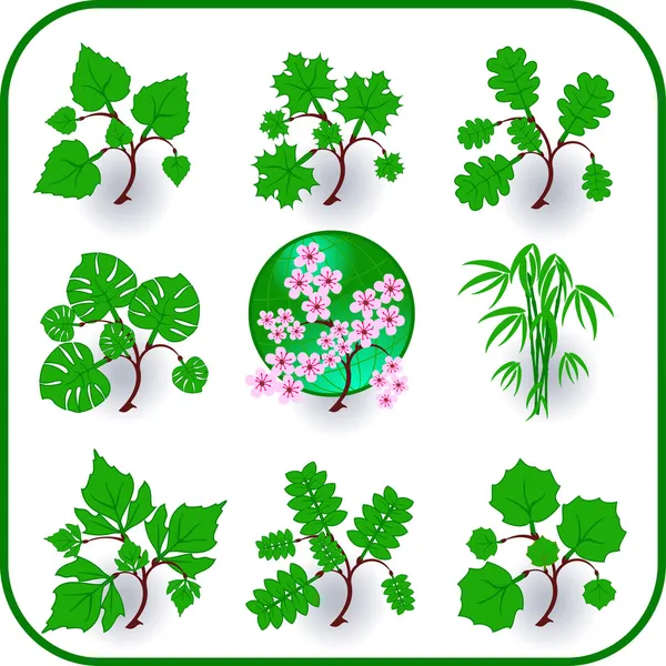 벡터-녹색 식물 — 스톡 벡터
