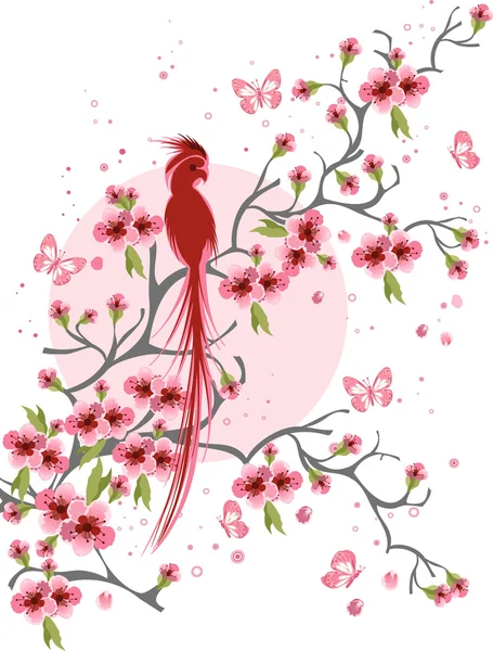 Kiraz çiçeği ve kuş arka plan — Stok Vektör