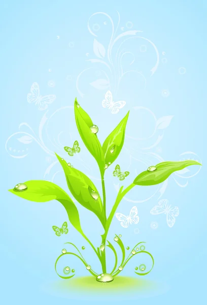 Grünes Blumengestell auf blauem Hintergrund — Stockvektor