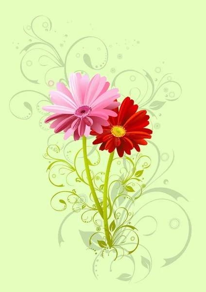 Zwei Gerbera Blume Hintergrund — Stockvektor