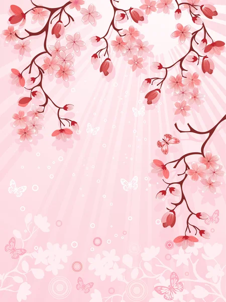 Flor de cereja japonesa — Vetor de Stock