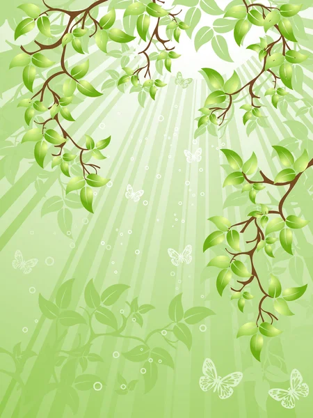 Yeşil yapraklar, vektör illüstrasyonu — Stok Vektör