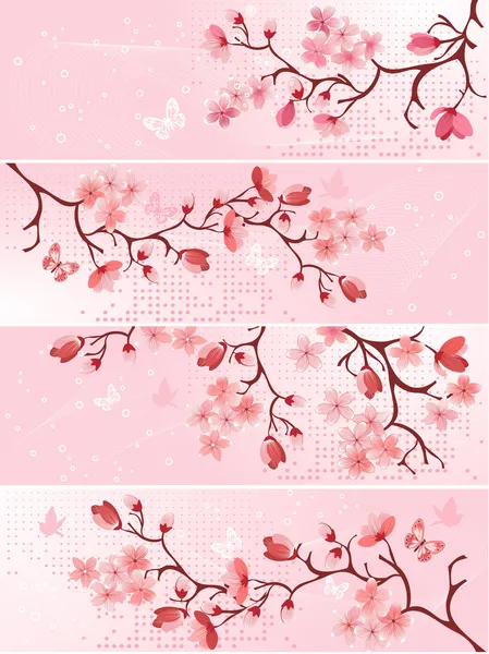Kirschblüte, Banner. — Stockvektor