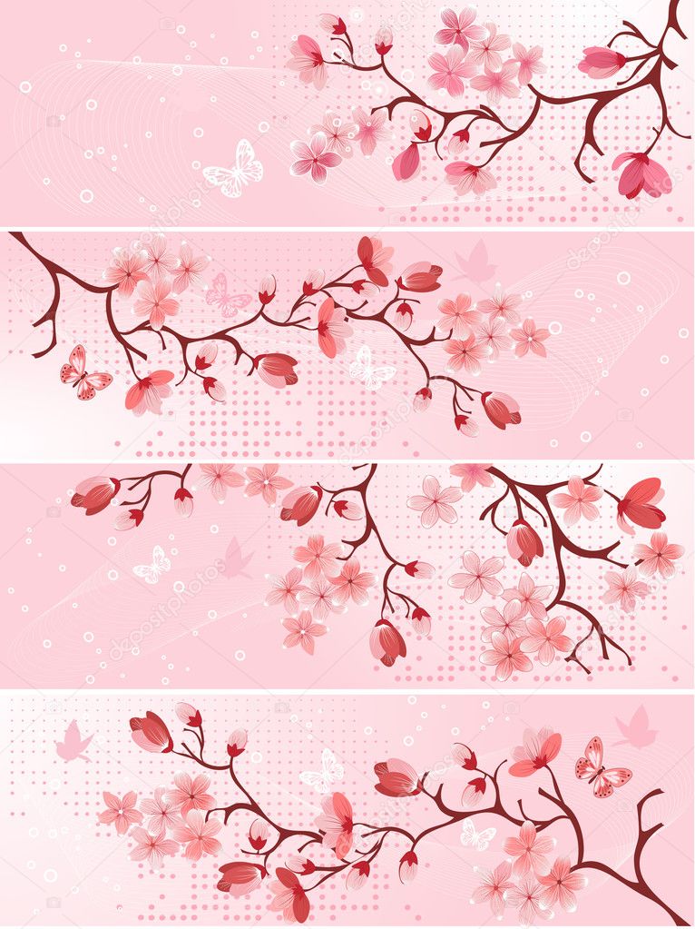 Cherry blossom, banner.