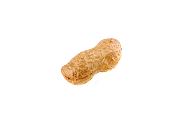 Nut — Stock Photo, Image