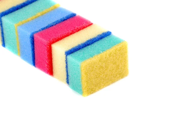 Small sponge — Stock Photo, Image