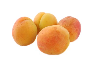 Apricot fruits clipart