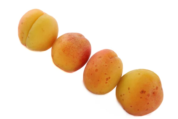 Apricot fruits — Stock Photo, Image