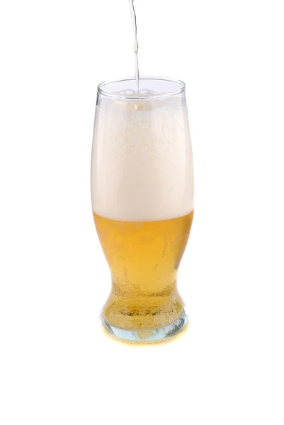 Zlaté pivo — Stock fotografie