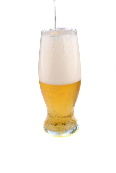 Złoty piwa — Zdjęcie stockowe