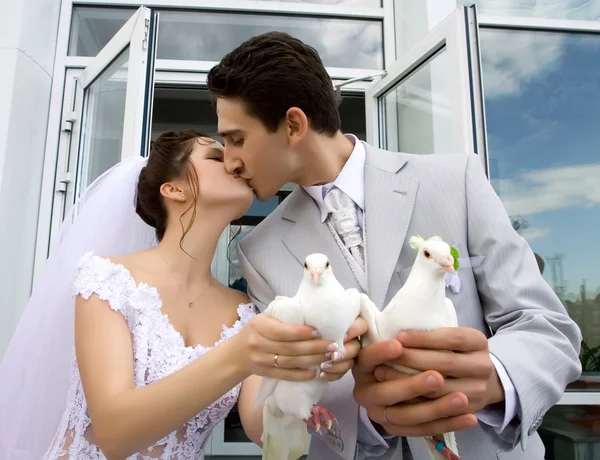 Jovens recém-casados casal ao ar livre — Fotografia de Stock