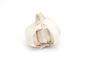 Garlic isolated clipart