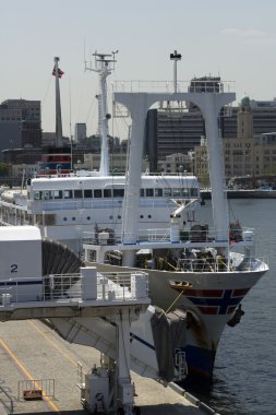 bağlantılı gemi yokohama Limanı Japonya