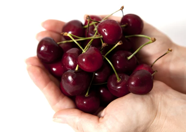 stock image Ripe cherry