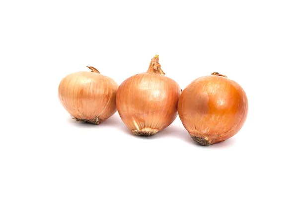 stock image Onion isolated