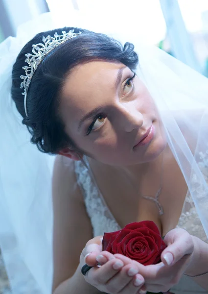 Jovem noiva bonita com rosa vermelha — Fotografia de Stock