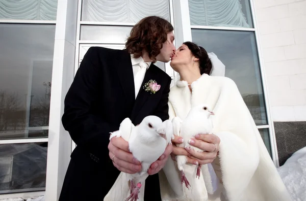 Noiva e noivo com pigeo casamento branco — Fotografia de Stock
