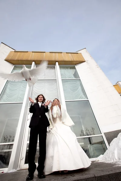 Menyasszony és a vőlegény a fehér esküvői pigeo — Stock Fotó