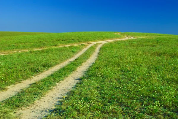 Зеленое поле, дороги и солнце небо — стоковое фото