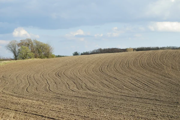 Lines in the spring field — Stock Photo, Image