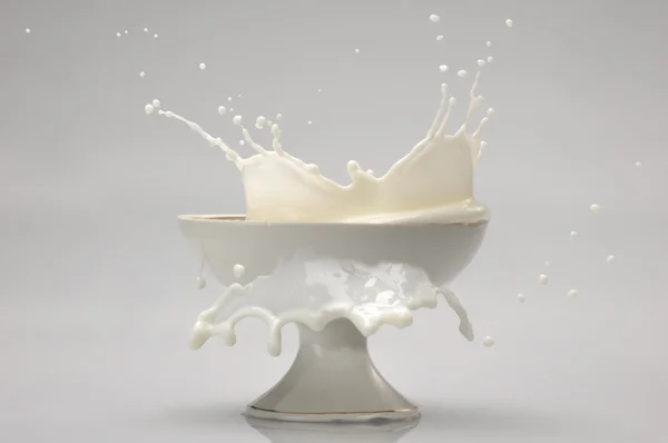 Salpicos de leite isolados sobre branco — Fotografia de Stock
