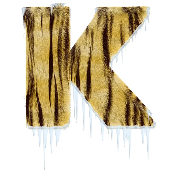 タイガー スタイル毛皮アルファから冷ややかな手紙 — ストック写真