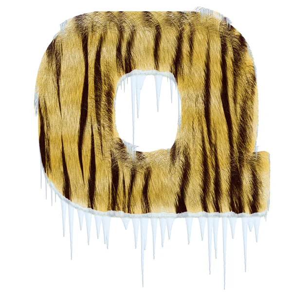 Frosty letter from tiger style fur alpha — Stock Photo, Image