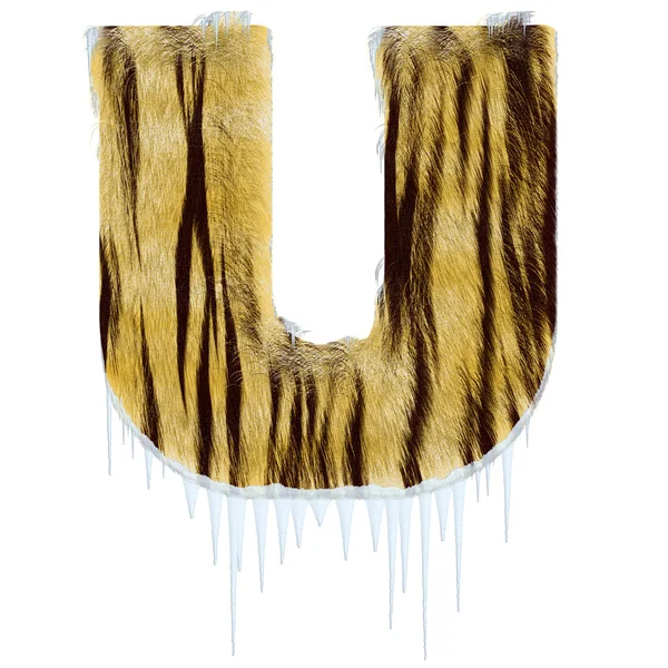 Lettera gelida dalla pelliccia in stile tigre alpha — Foto Stock