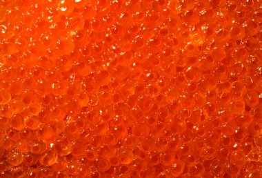 Tasty delicious red soft caviar