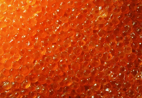 Savoureux délicieux caviar doux rouge — Photo