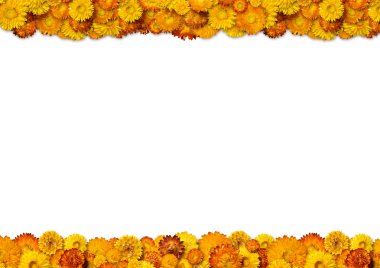 Yellow and orange flowers frame clipart