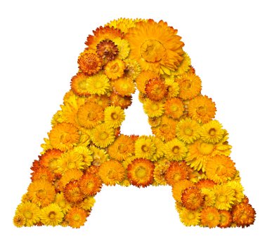 Letters from alphabet from flowers clipart